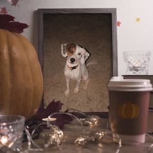 Meet your Posher, Meshell